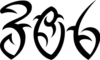 3o6